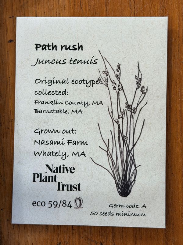 Path Rush Seeds