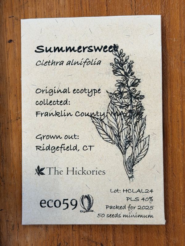 Summersweet Seeds