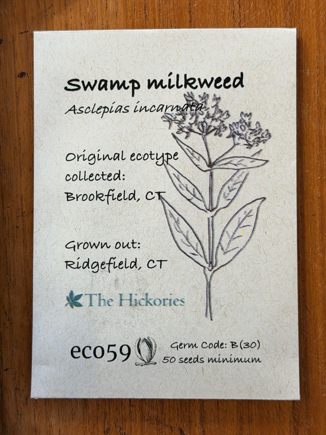 Swamp Milkweed Seeds