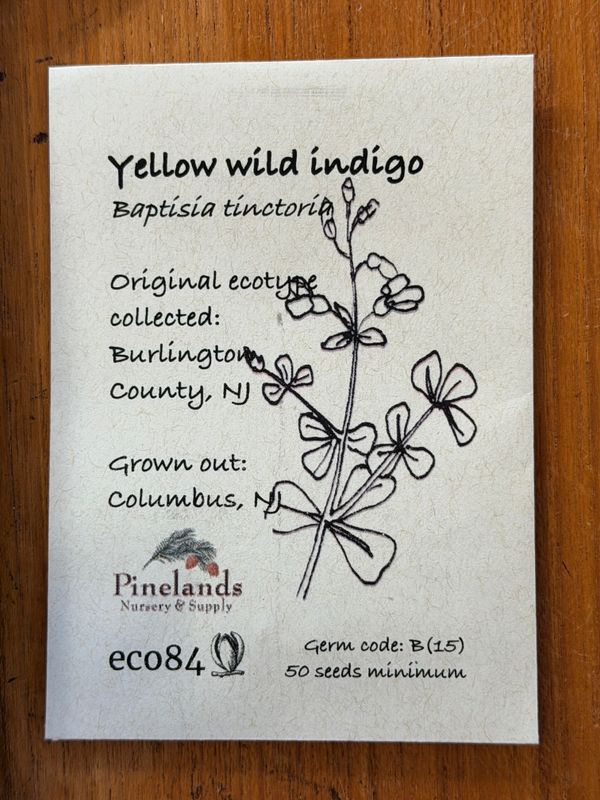 Yellow Wild Indigo Seeds