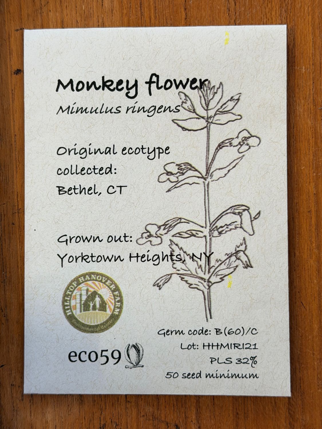 Monkey Flower Seeds