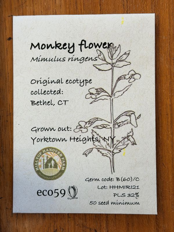 Monkey Flower Seeds