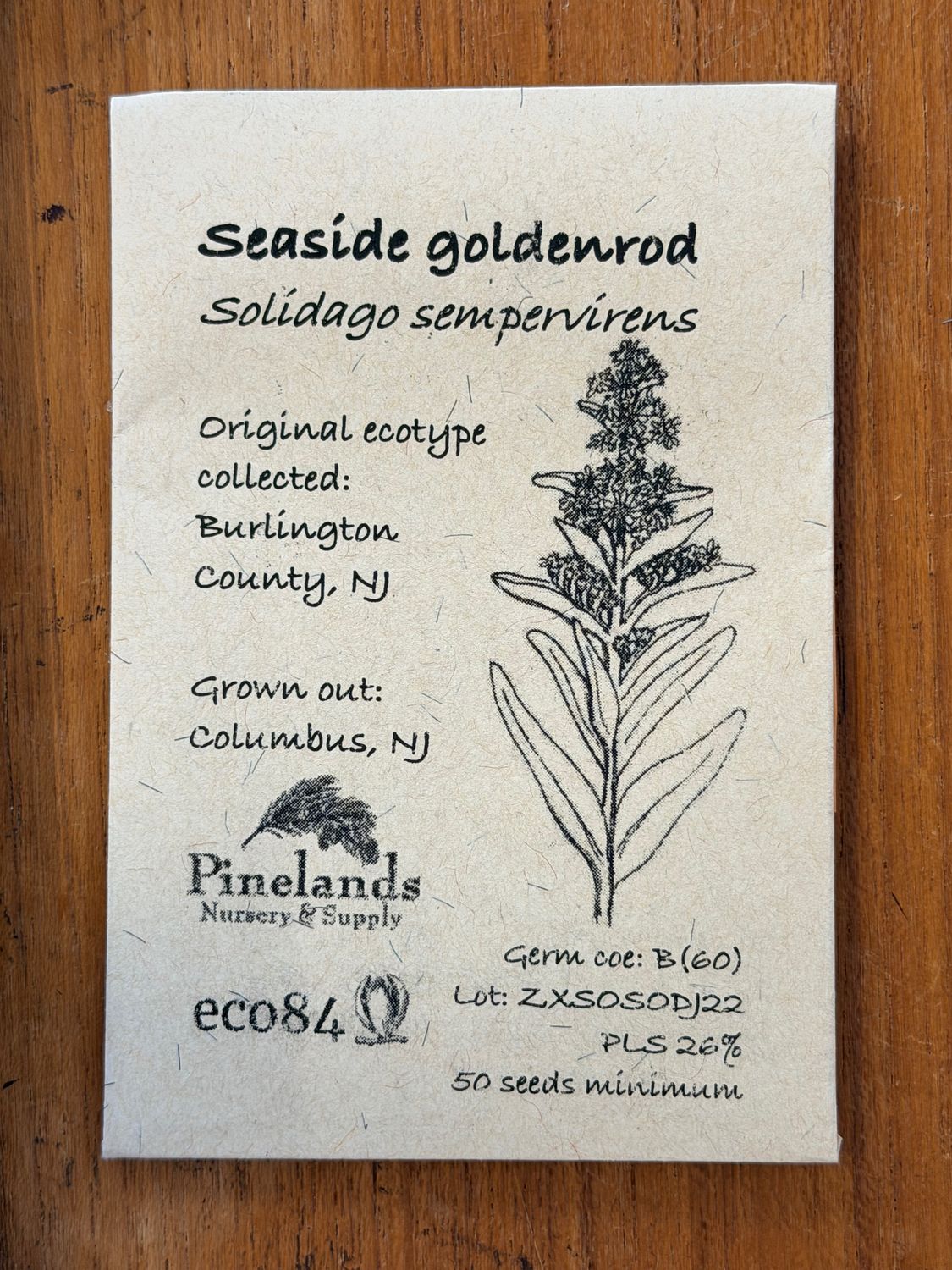 Seaside Goldenrod Seeds