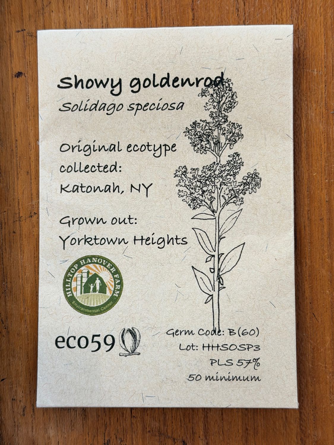 Showy Goldenrod Seeds