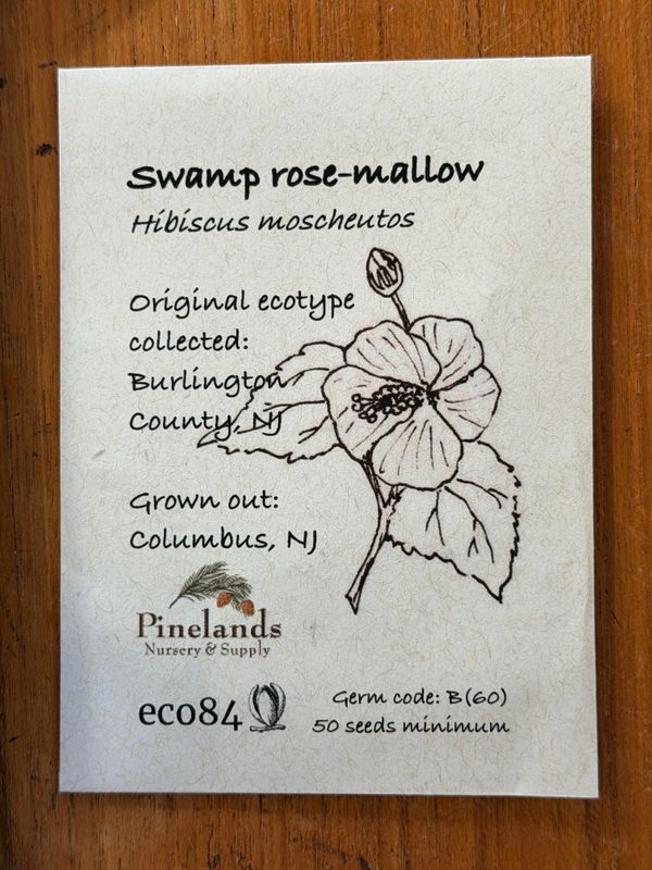 Swamp Rose-mallow Seeds