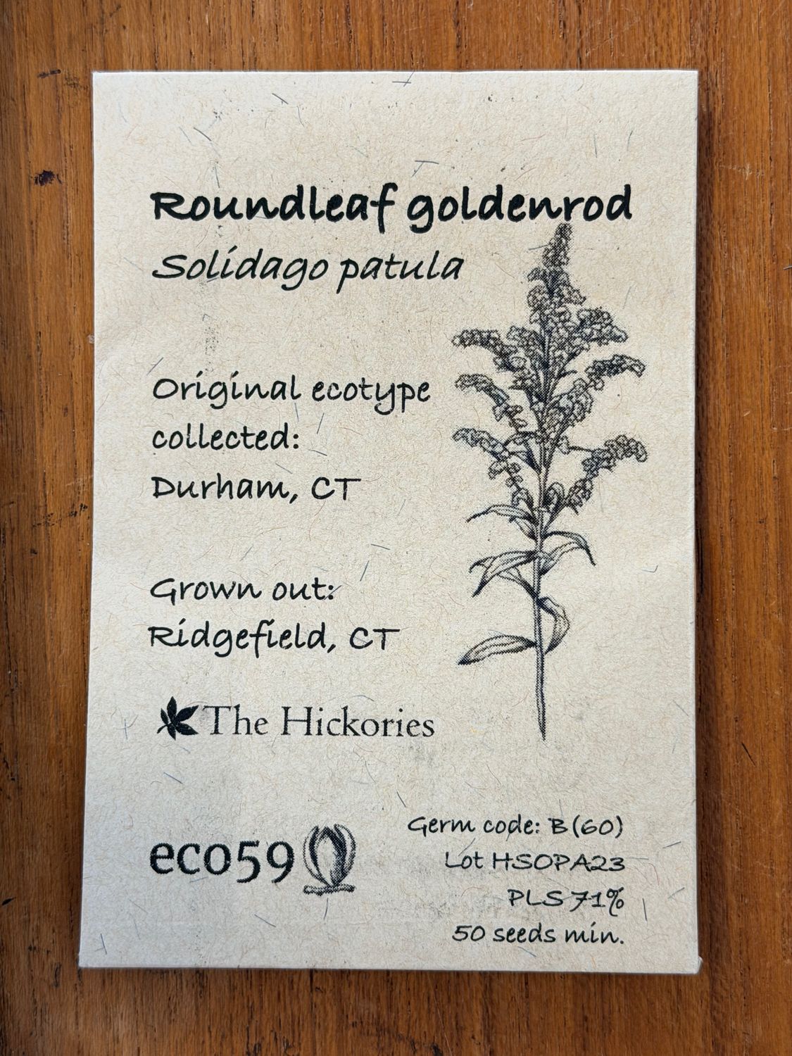 Roundleaf Goldenrod Seeds
