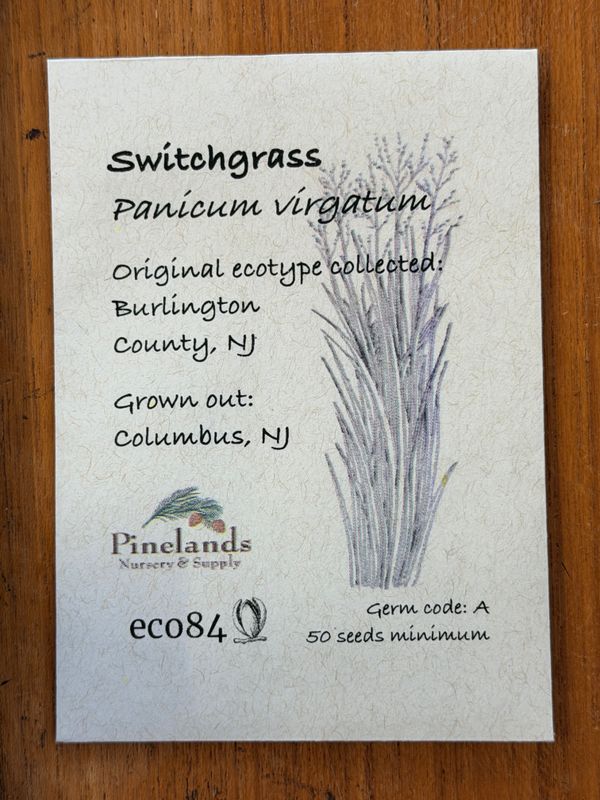 Switchgrass Seeds