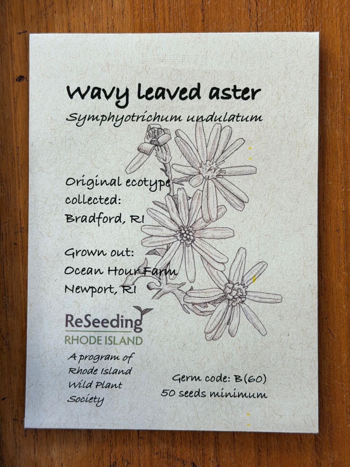 Wavy Leaved Aster Seeds