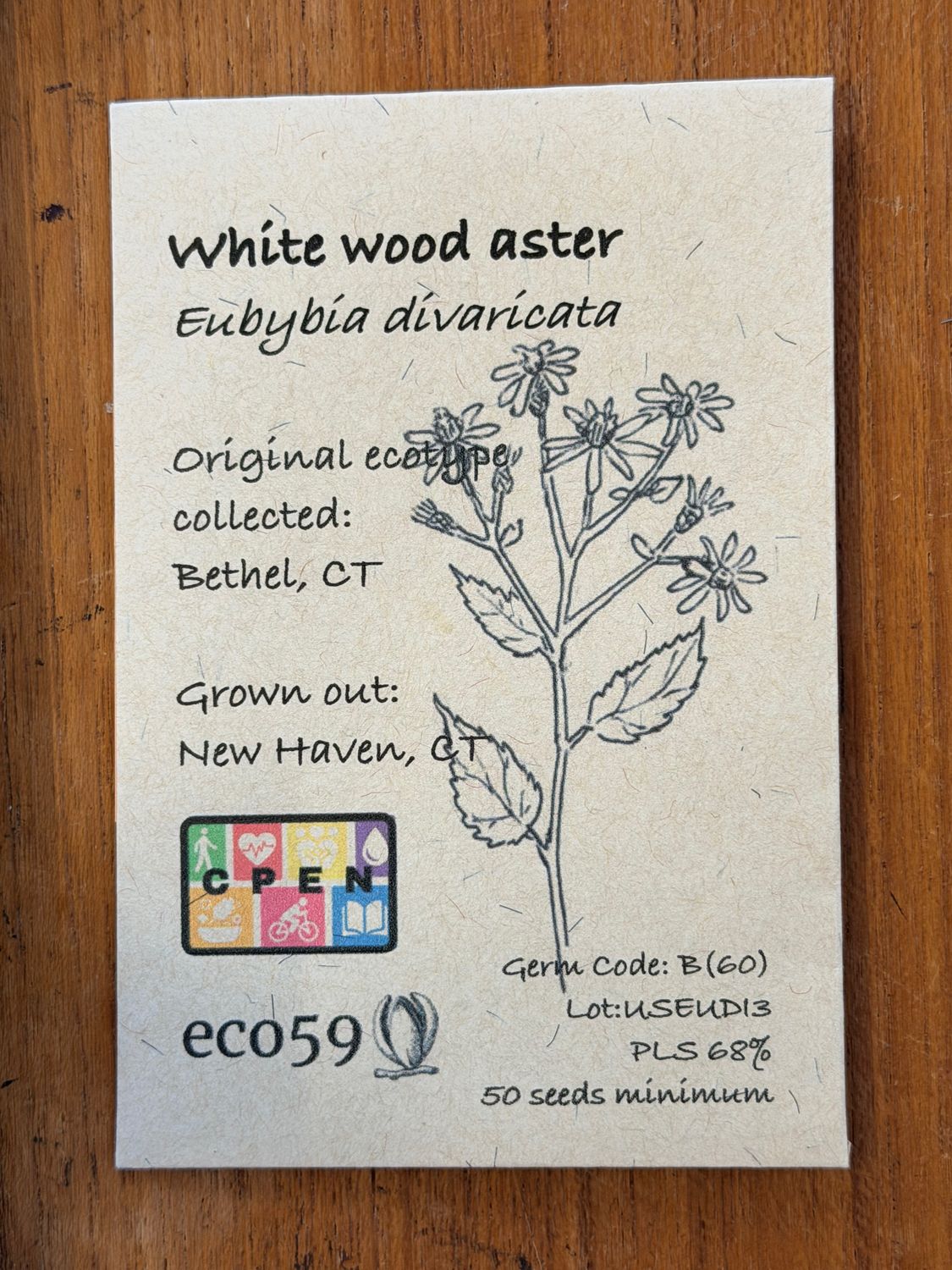 White Wood Aster Seeds