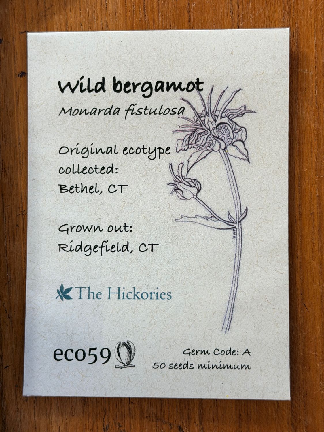 Wild Bergamot Seeds