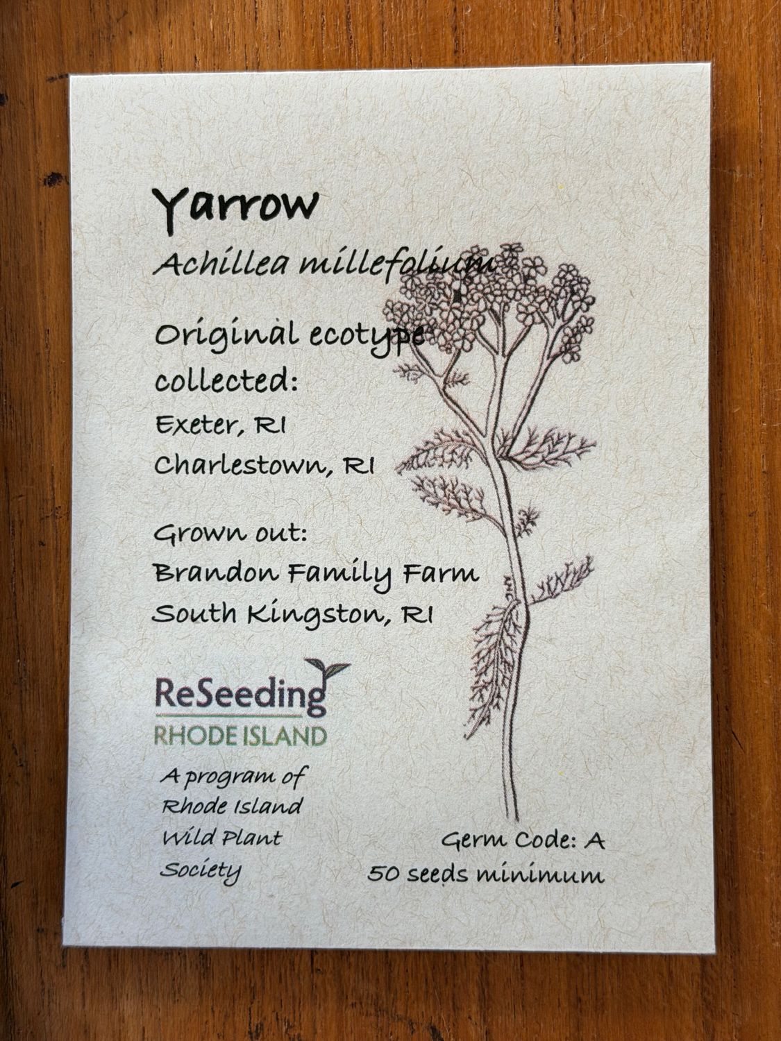 Yarrow Seeds