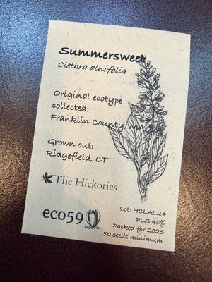 Seeds
