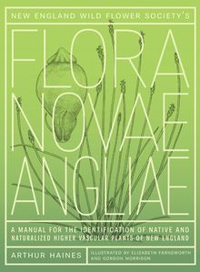 Flora Novae Angliae