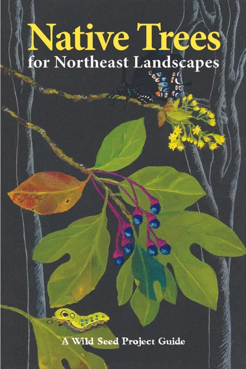 Native Trees for Northeast Landscapes Native Trees for Northeast Landscapes