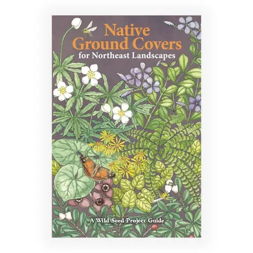 Native Ground Covers for Northeast Landscapes Native Ground Covers for Northeast Landscapes
