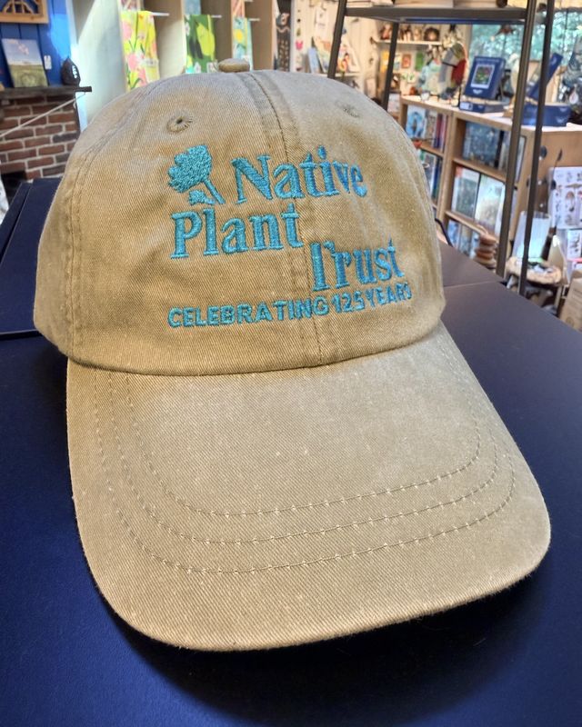 Native Plant Trust Logo Cap