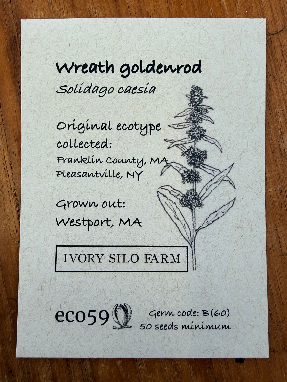 Wreath Goldenrod Seeds