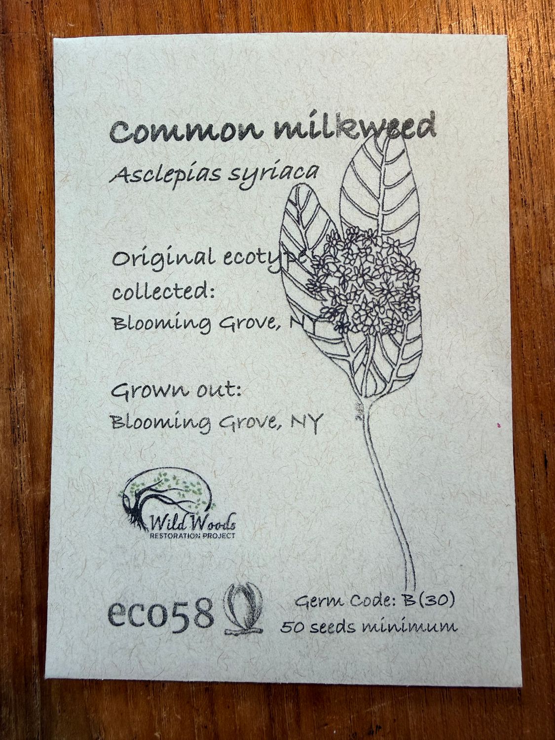 Common Milkweed Seeds