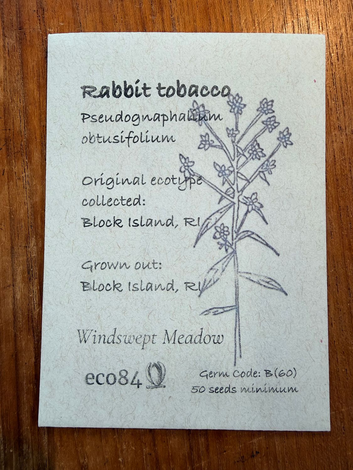 Rabbit Tobacco Seeds