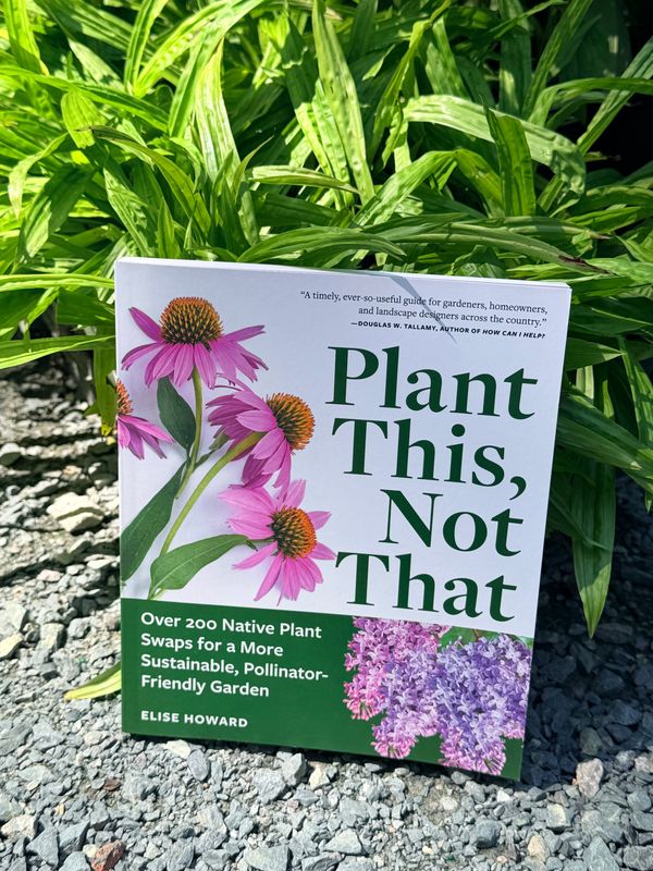 Plant This, Not That