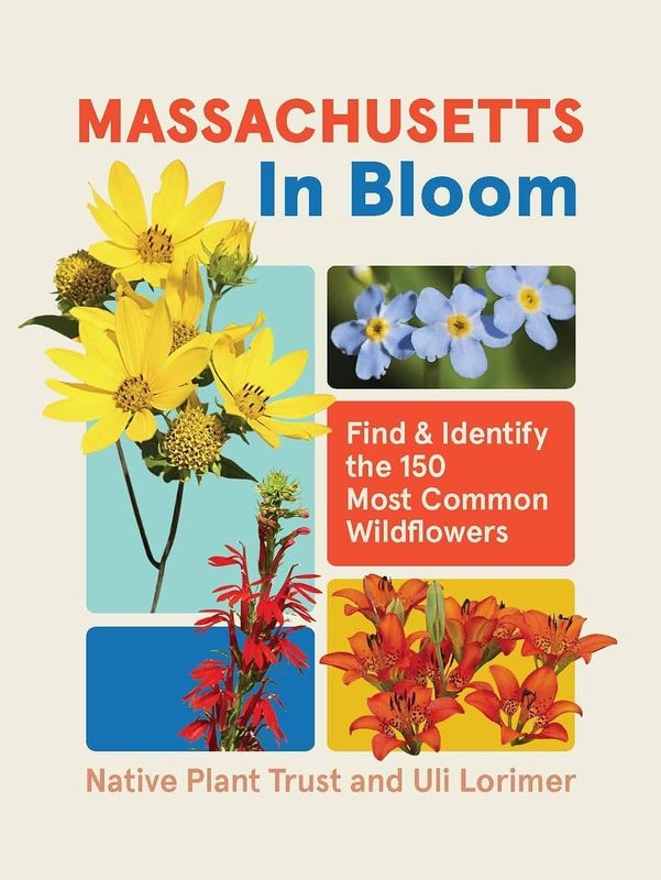 Massachusetts in Bloom: Find and Identify the 150 Most Common Wildflowers
