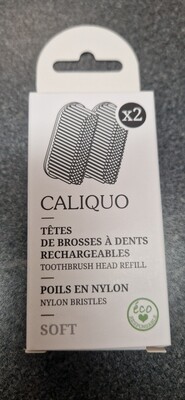 Tête de Brosse à Dents Rechargeables