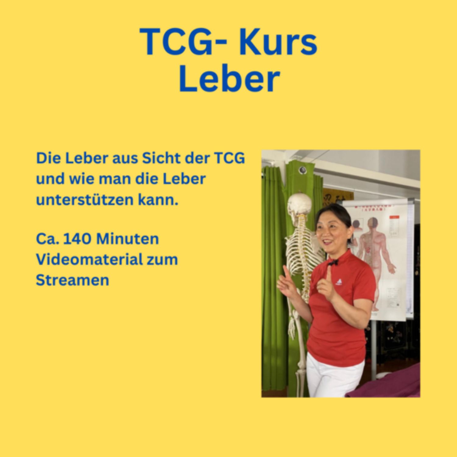 TCG- Kurs Leber TCG- Kurs Leber