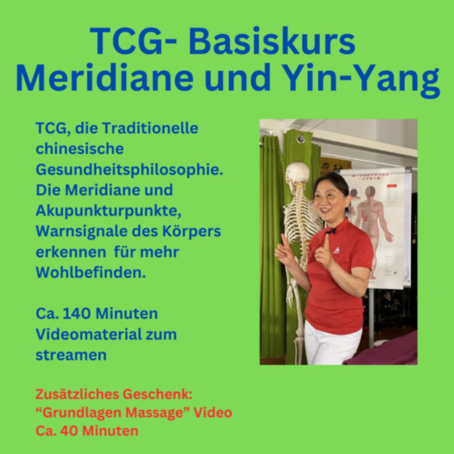 TCG- Basiskurs - Meridiane und Yin-Yang