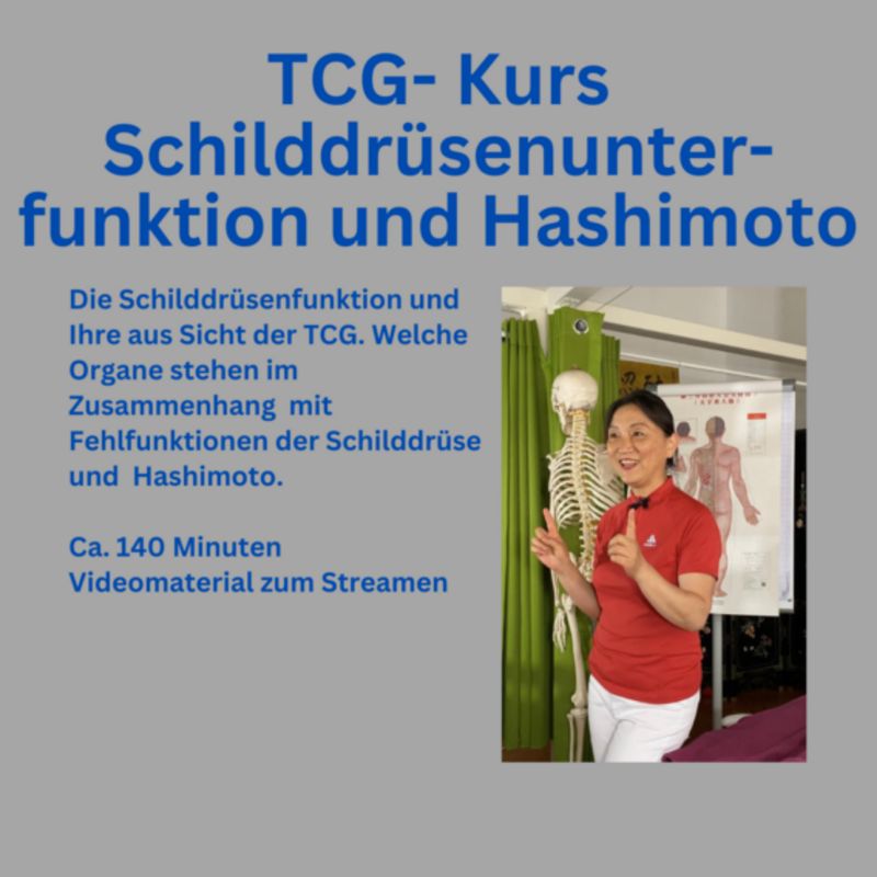 TCG- Kurs Schilddrüsenunterfunktion und Hashimoto