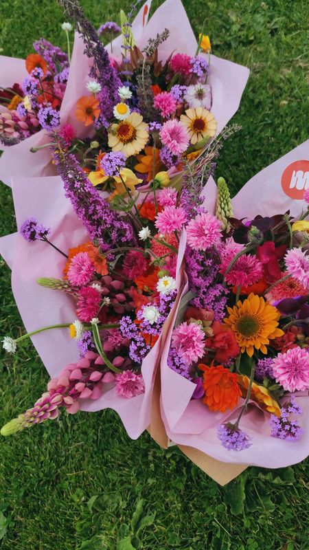 L'ABONNEMENT FLORAL DE FIN D'ÉTÉ 🌞
