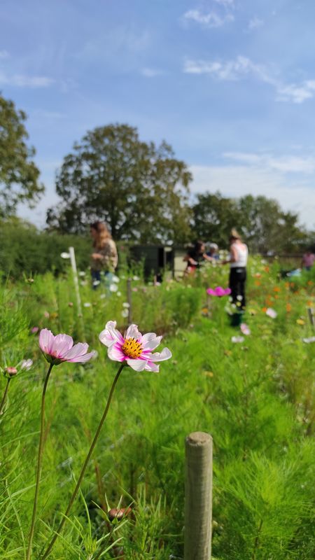 BON CADEAU ATELIER FLORAL