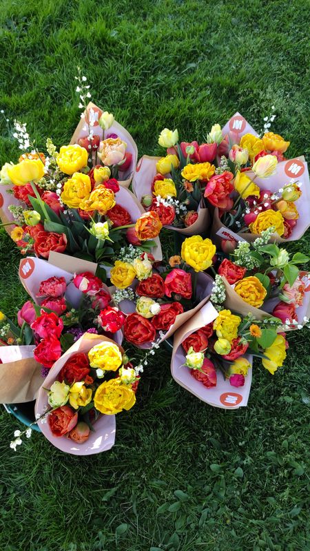 L'ABONNEMENT PRINTANIER 🌞