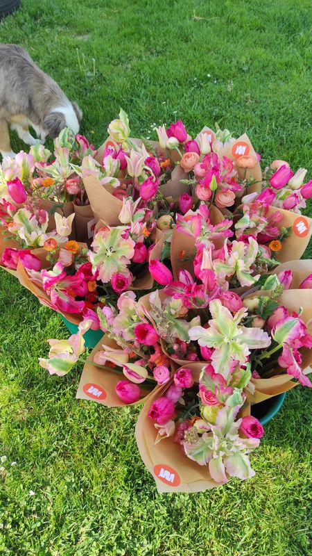 L'ABONNEMENT PRINTANIER 🌞