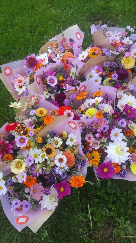 L'ABONNEMENT D'ÉTÉ 🌞