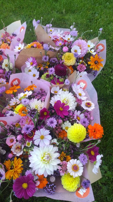 L'ABONNEMENT D'ÉTÉ 🌞