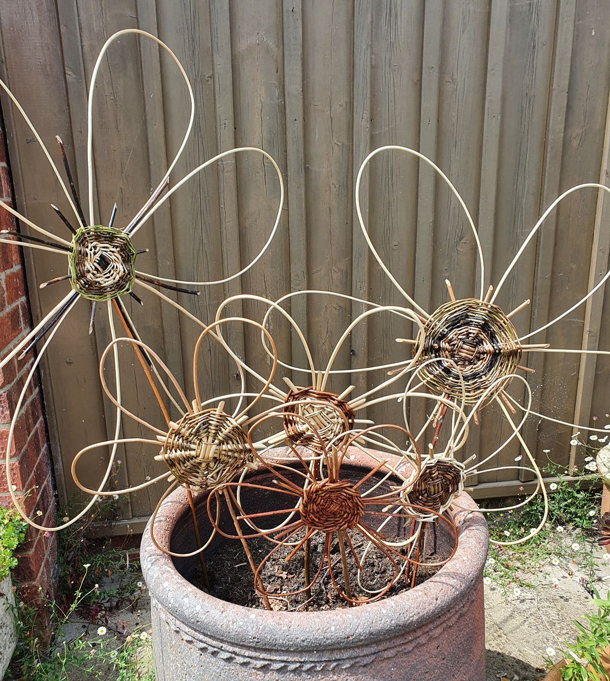 Family willow workshop at Oakington Garden Centre. 1p.m. - 3p.m. February 20th 2026