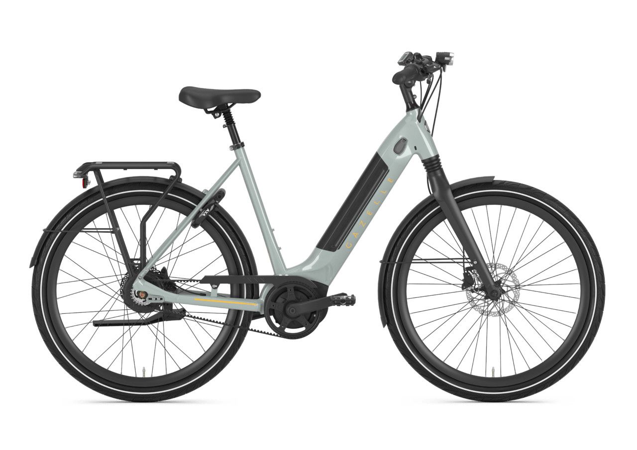 Gazelle Ultimate C380, Frame Design: Low Step, Size: 46cm, Color: Light Olive Matt