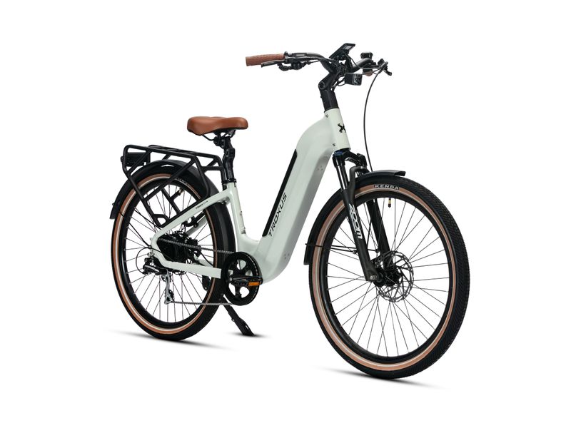 Troxus Trax Plus 500/15 by Elevated E-Bikes
