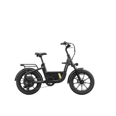 Segway Muxi Pro