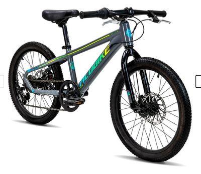 BICICLETA ALUBIKE SIERRA  R20 GRIS 7V