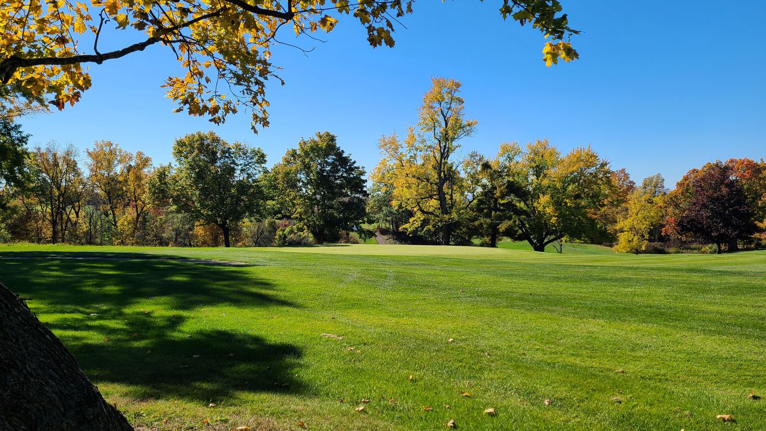 Senior Family Membership