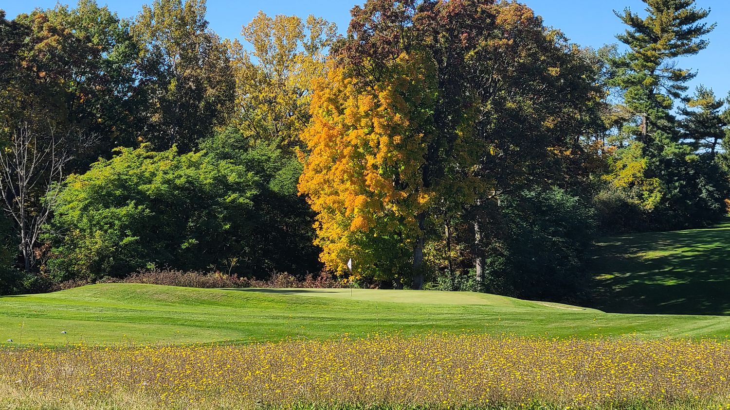 Senior Single Membership