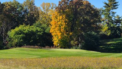 Senior Single Membership