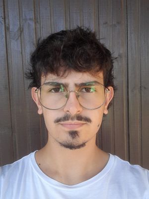 No hay lugar para nosotros, poemario de Sebastian Vaucher
