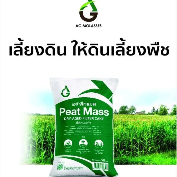 Kasetchann