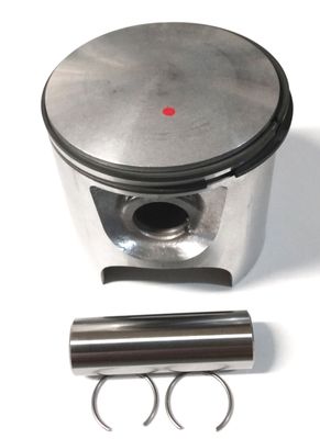 Kit, Piston, Rotax Motor , OEM 75.95mm (Aprilia &amp; others)