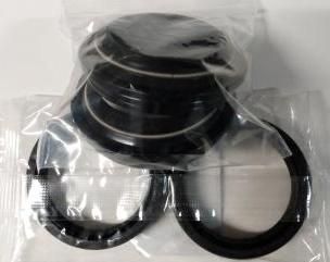 Kit, Seals, Oil/Dust, Fork, Early Gas Gas