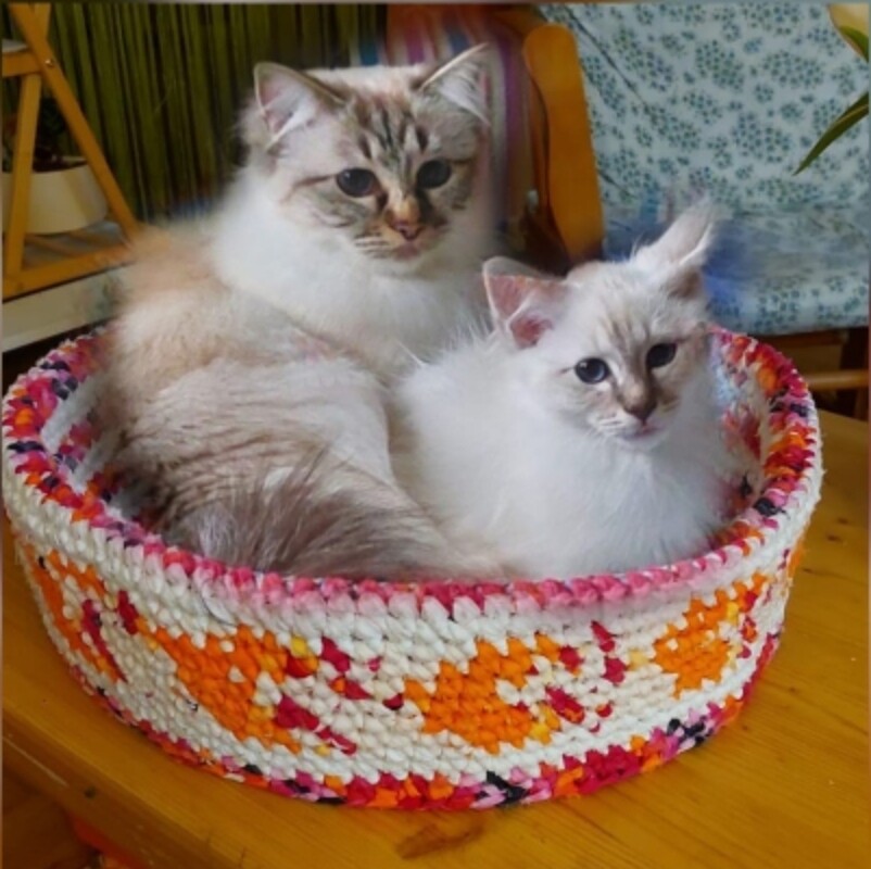 Nachhaltiges Körbli