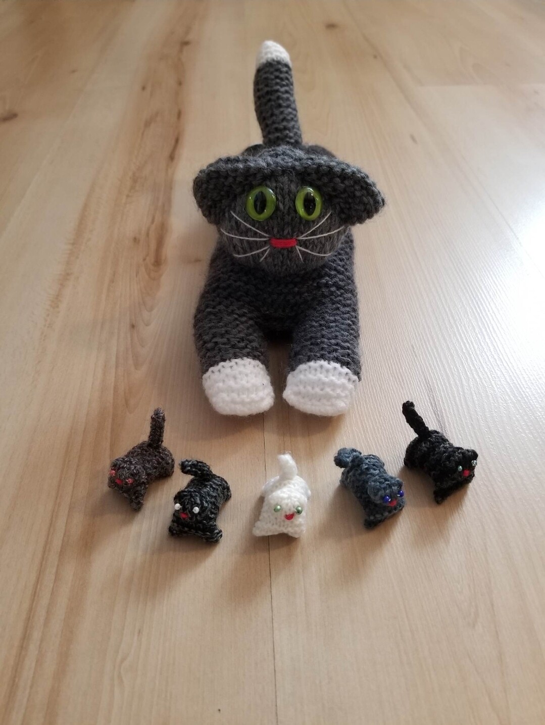 Katzen Mammi und Kitten