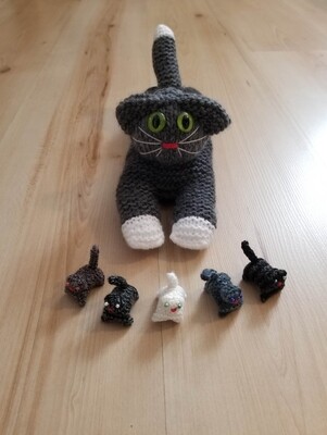 Katzen Mammi und Kitten